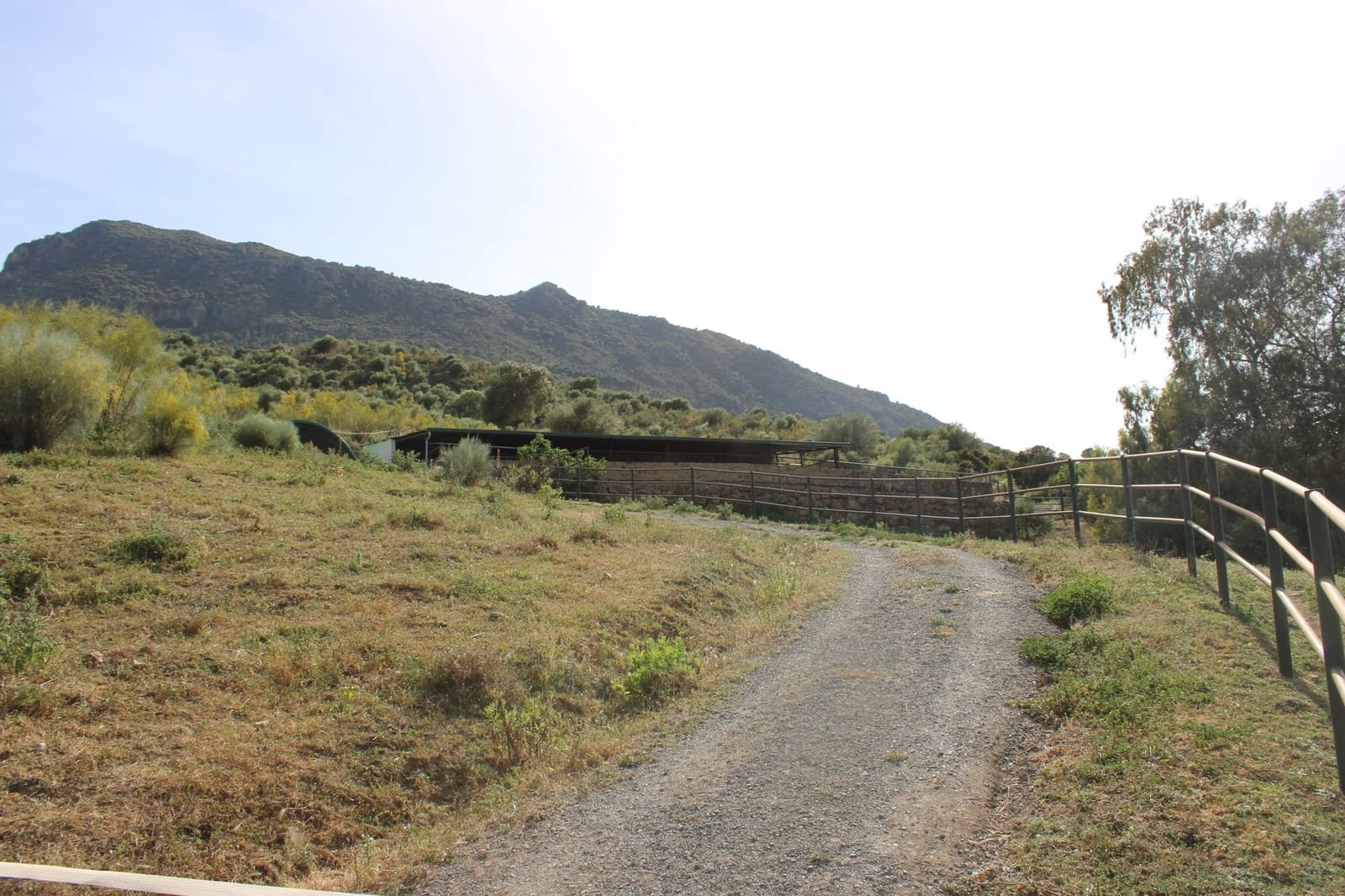 7 soveværelse Finca/Landehus til salg i Grazalema - € 900.000 (Ref: 8882269)