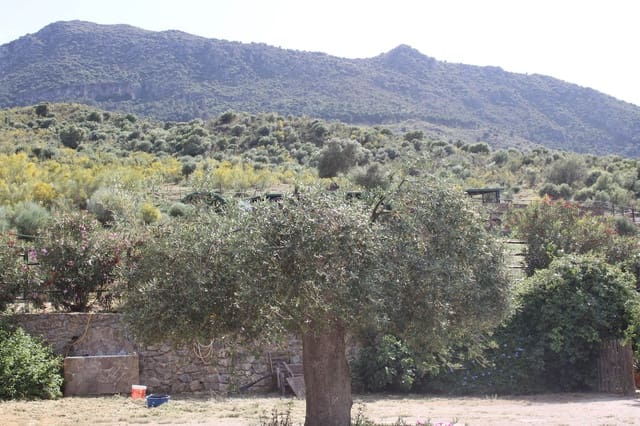 7 soveværelse Finca/Landehus til salg i Grazalema - € 900.000 (Ref: 8882269)