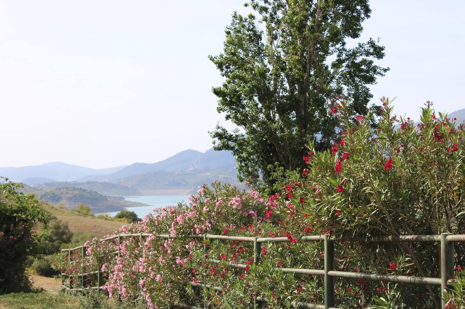 7 soveværelse Finca/Landehus til salg i Grazalema - € 900.000 (Ref: 8882269)