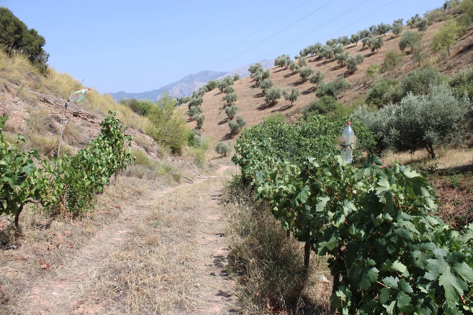 3 soveværelse Finca/Landehus til salg i El Burgo med swimmingpool - € 235.000 (Ref: 8912288)