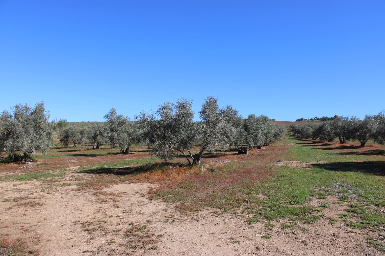 2 soveværelse Finca/Landehus til salg i Arriate - € 475.000 (Ref: 8912290)