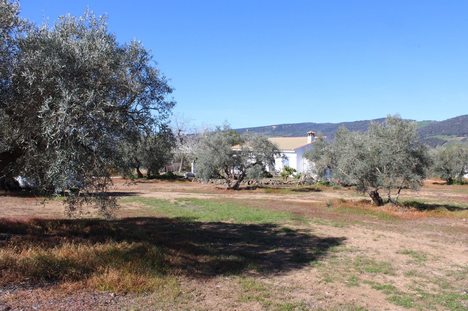 2 soveværelse Finca/Landehus til salg i Arriate - € 475.000 (Ref: 8912290)