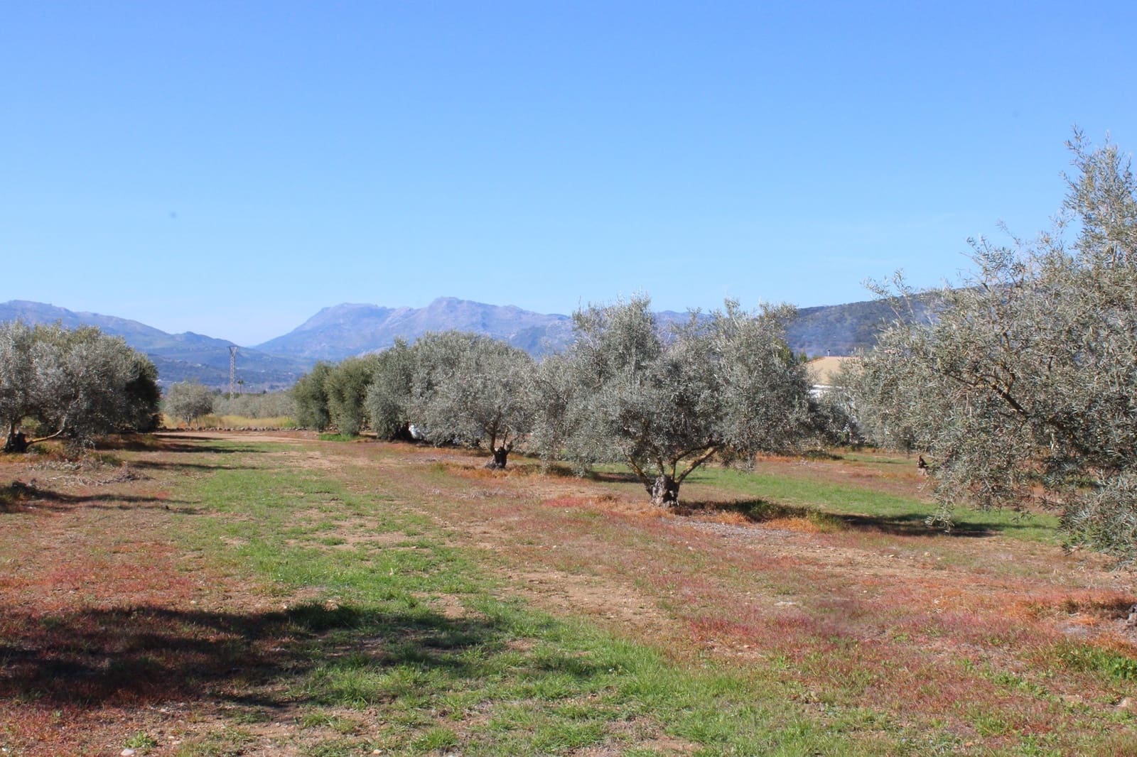 2 soveværelse Finca/Landehus til salg i Arriate - € 475.000 (Ref: 8912290)