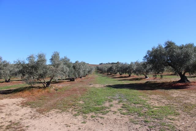 2 soveværelse Finca/Landehus til salg i Arriate - € 475.000 (Ref: 8912290)