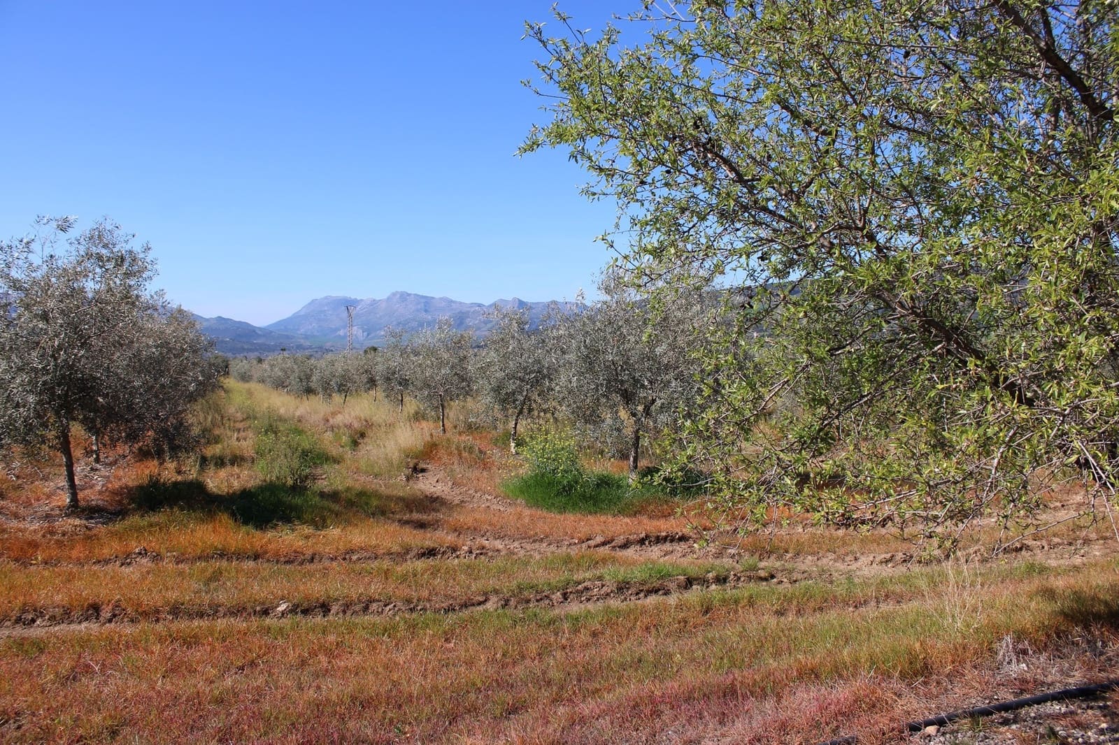 2 soveværelse Finca/Landehus til salg i Arriate - € 475.000 (Ref: 8912290)