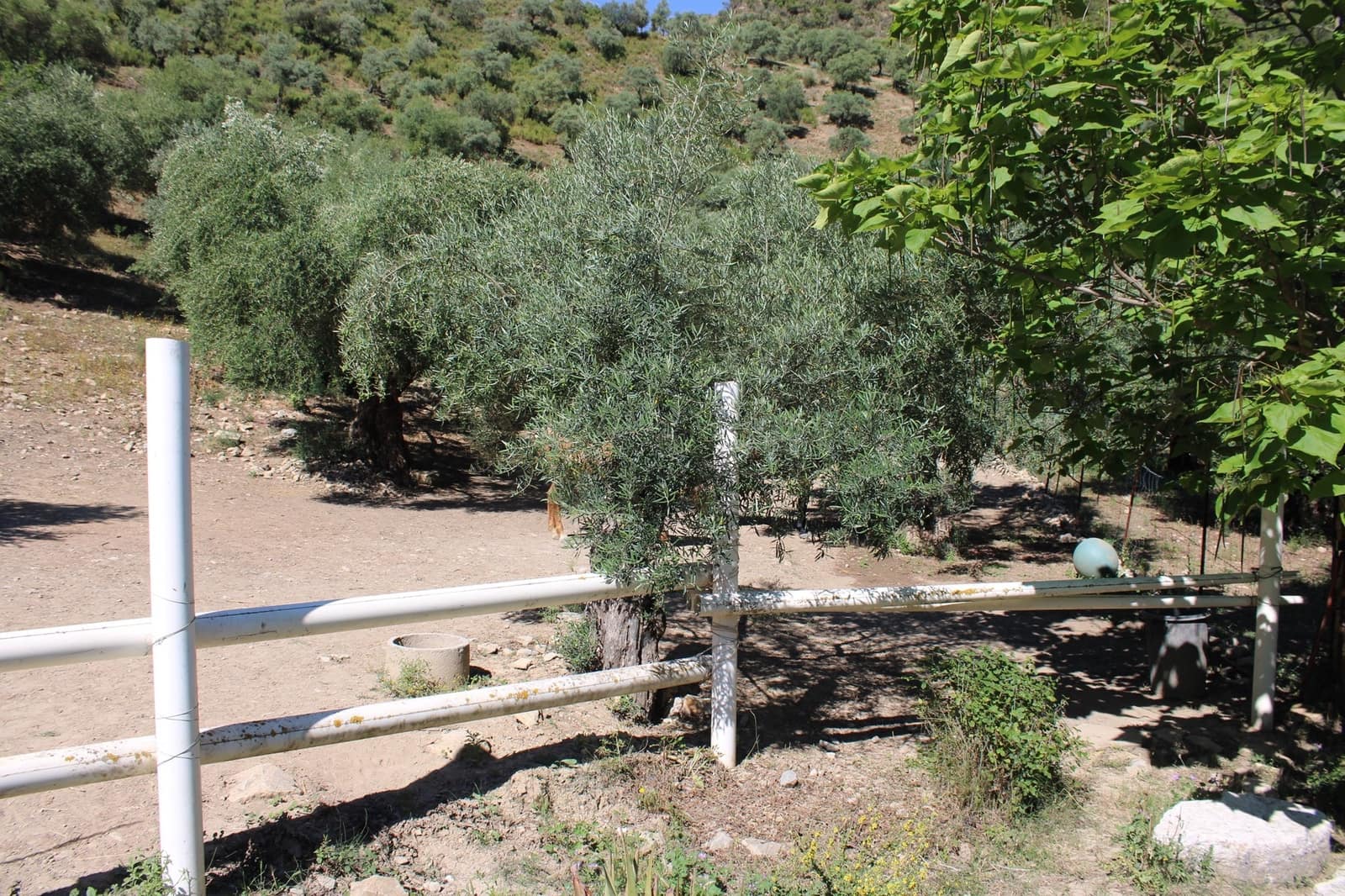 6 slaapkamer Finca/Landhuis te koop in Zahara de la Sierra met zwembad - € 480.000 (Ref: 8912292)