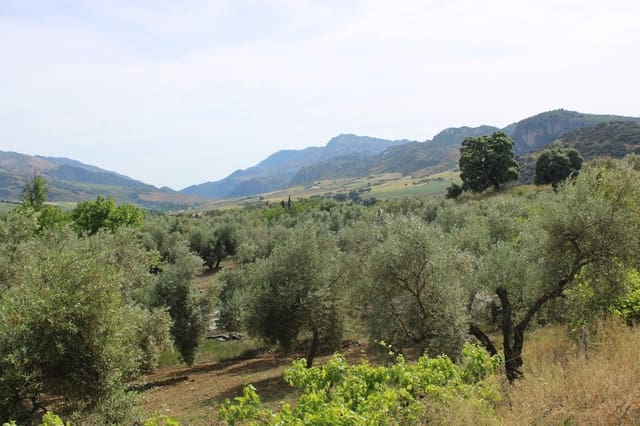 4 soveværelse Finca/Landehus til salg i Ronda - € 500.000 (Ref: 8912293)