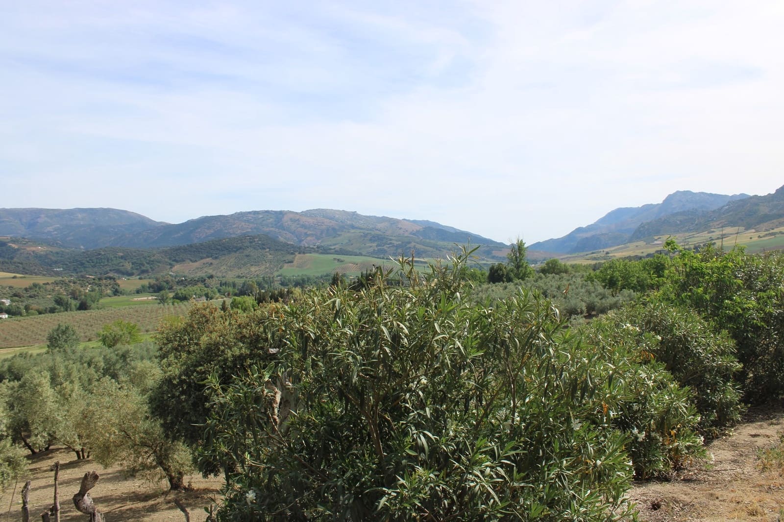 4 soveværelse Finca/Landehus til salg i Ronda - € 500.000 (Ref: 8912293)