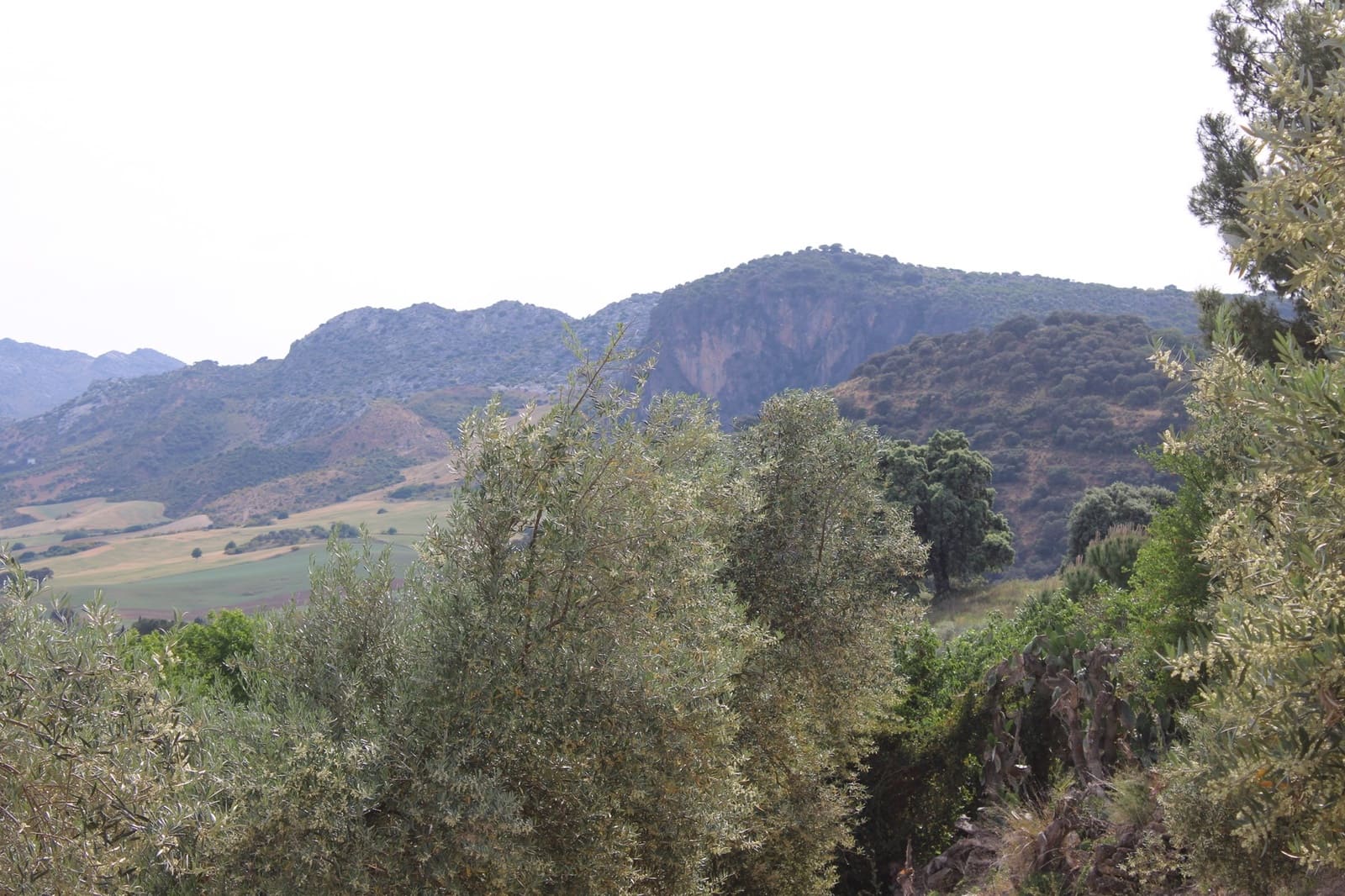 4 soveværelse Finca/Landehus til salg i Ronda - € 500.000 (Ref: 8912293)