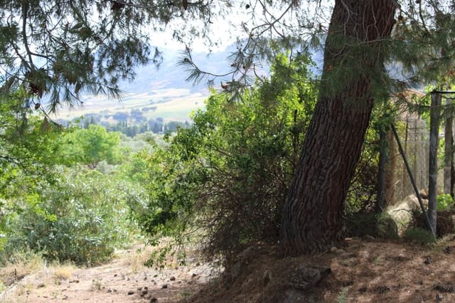 4 soveværelse Finca/Landehus til salg i Ronda - € 500.000 (Ref: 8912293)