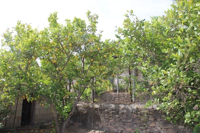 4 soveværelse Finca/Landehus til salg i Ronda - € 500.000 (Ref: 8912293)