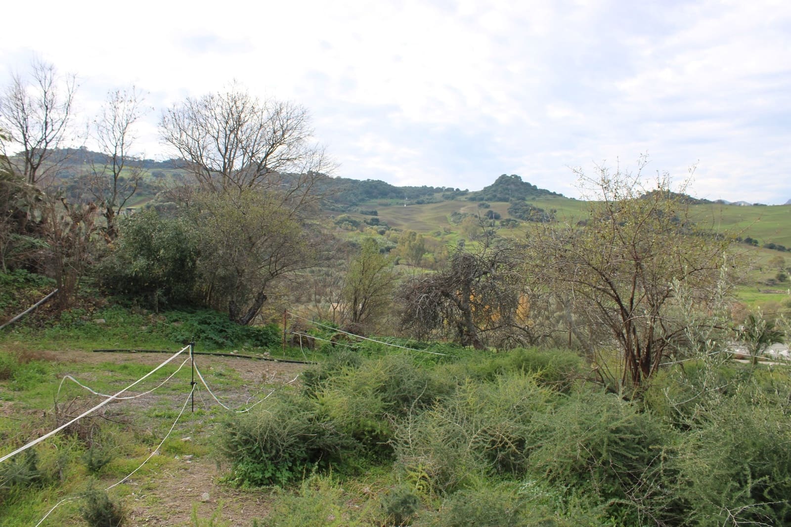 4 sypialnia Finka/Dom wiejski na sprzedaż w Montecorto - 530 000 € (Ref: 8912296)