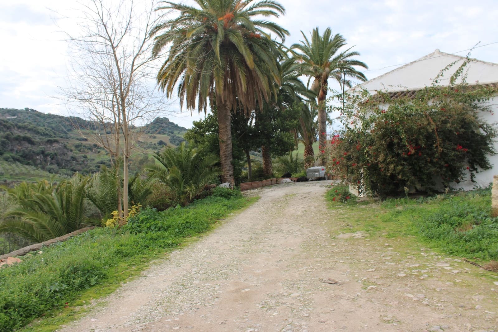 4 sypialnia Finka/Dom wiejski na sprzedaż w Montecorto - 530 000 € (Ref: 8912296)