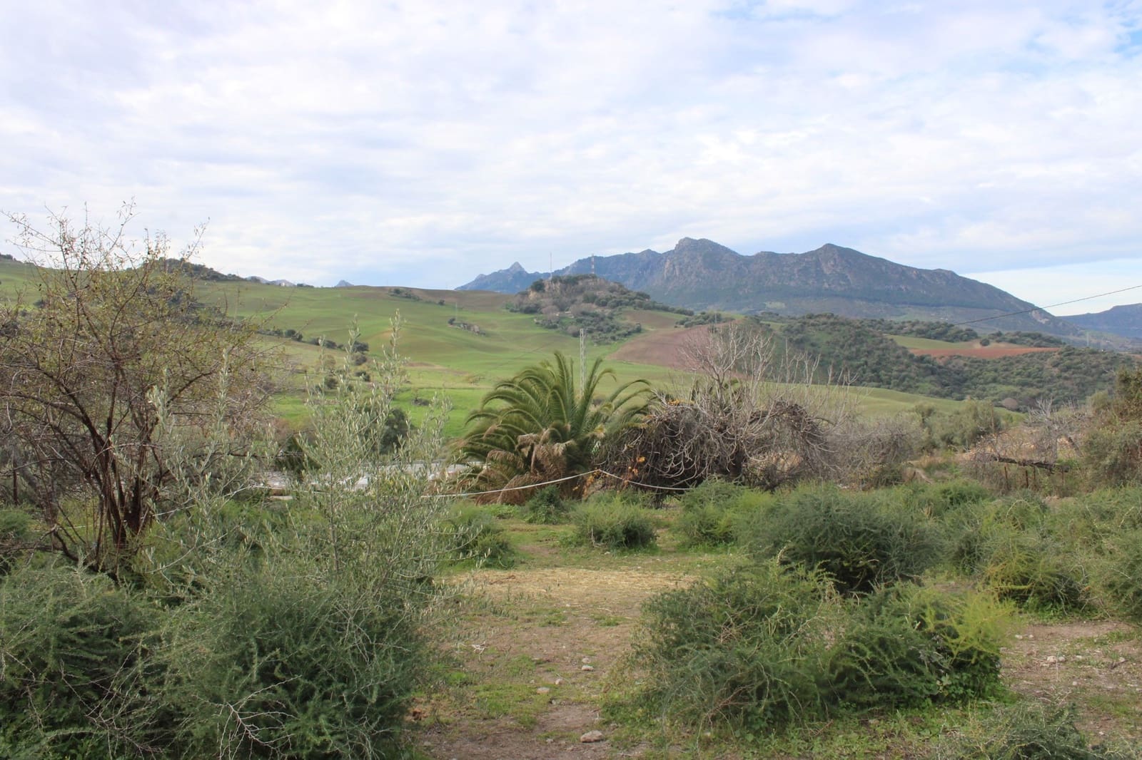 4 sypialnia Finka/Dom wiejski na sprzedaż w Montecorto - 530 000 € (Ref: 8912296)