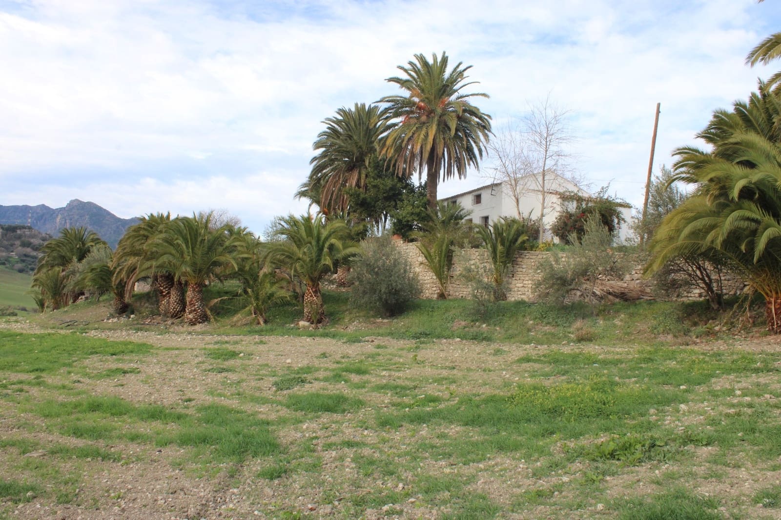 4 sypialnia Finka/Dom wiejski na sprzedaż w Montecorto - 530 000 € (Ref: 8912296)