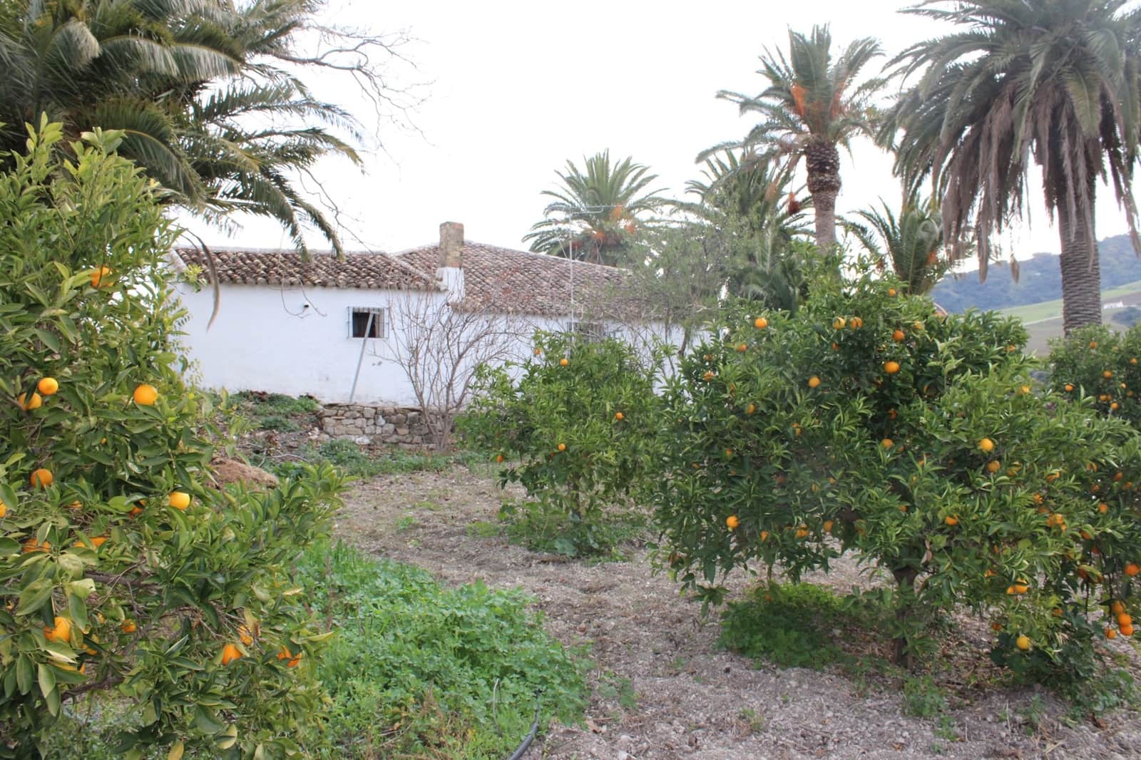 4 sypialnia Finka/Dom wiejski na sprzedaż w Montecorto - 530 000 € (Ref: 8912296)