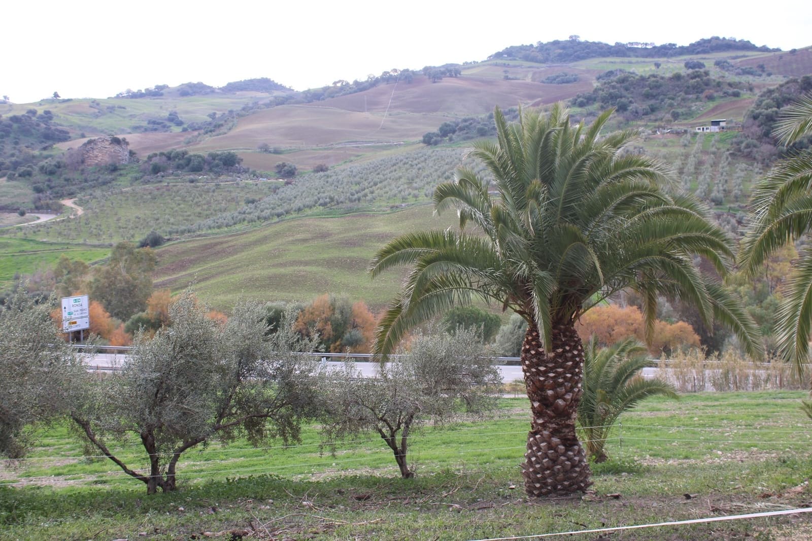 4 sypialnia Finka/Dom wiejski na sprzedaż w Montecorto - 530 000 € (Ref: 8912296)