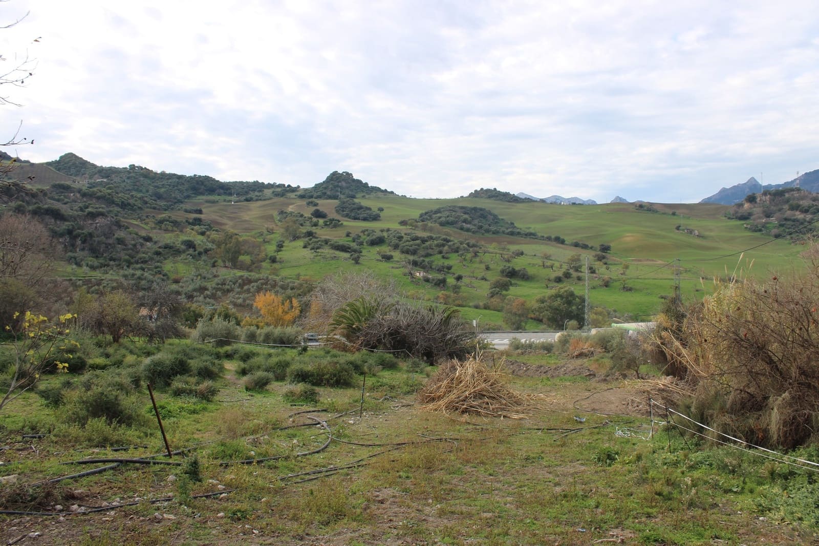 4 sypialnia Finka/Dom wiejski na sprzedaż w Montecorto - 530 000 € (Ref: 8912296)