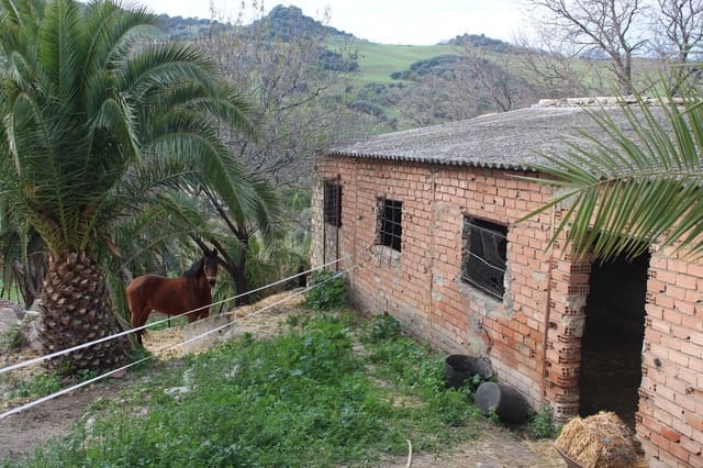 4 sypialnia Finka/Dom wiejski na sprzedaż w Montecorto - 530 000 € (Ref: 8912296)