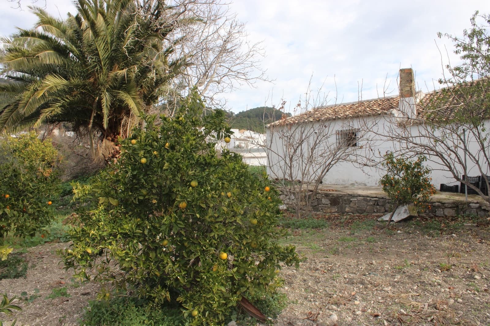 4 sypialnia Finka/Dom wiejski na sprzedaż w Montecorto - 530 000 € (Ref: 8912296)