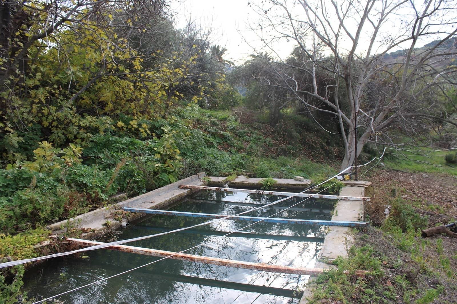 4 sypialnia Finka/Dom wiejski na sprzedaż w Montecorto - 530 000 € (Ref: 8912296)