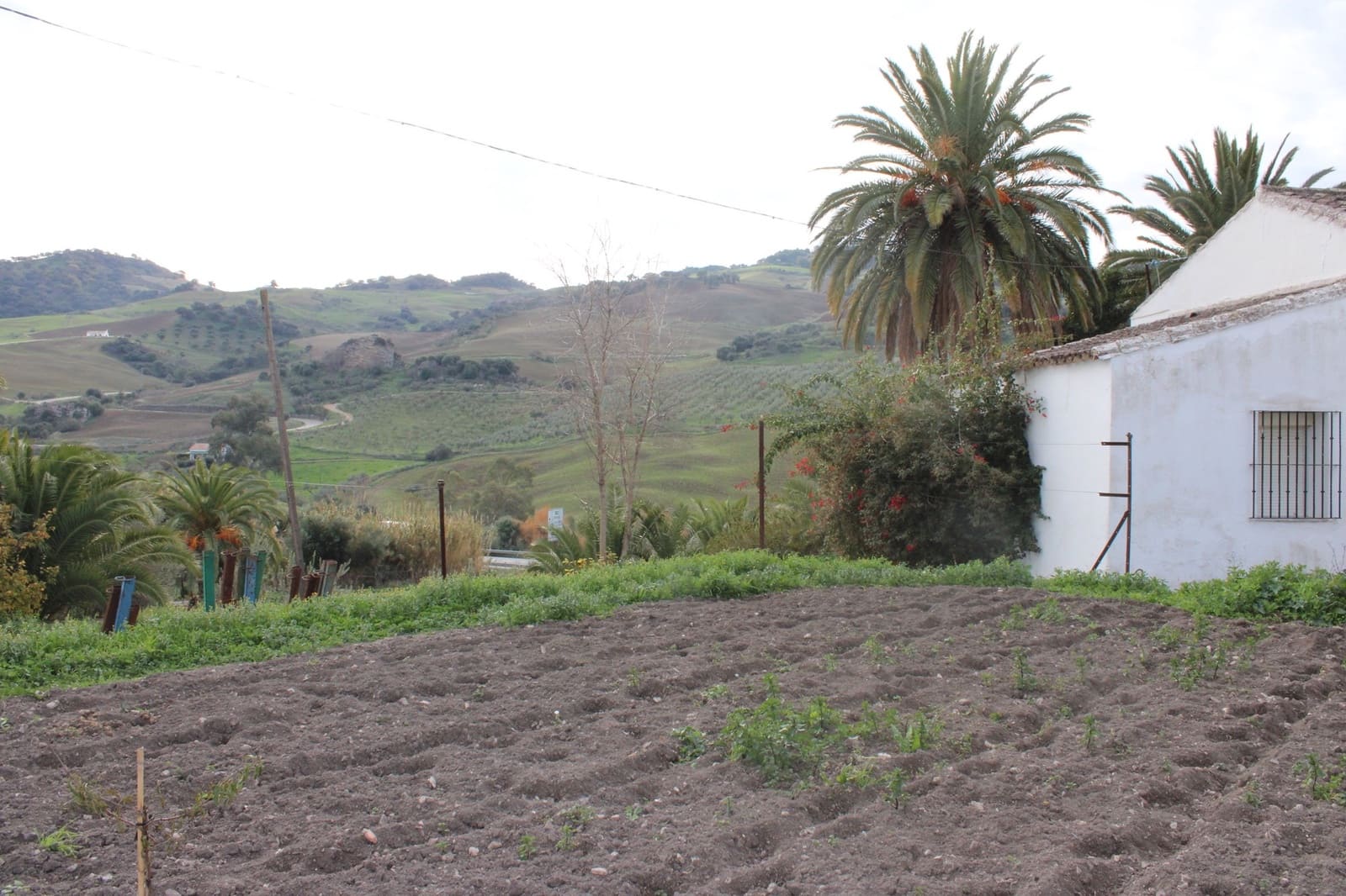 4 sypialnia Finka/Dom wiejski na sprzedaż w Montecorto - 530 000 € (Ref: 8912296)