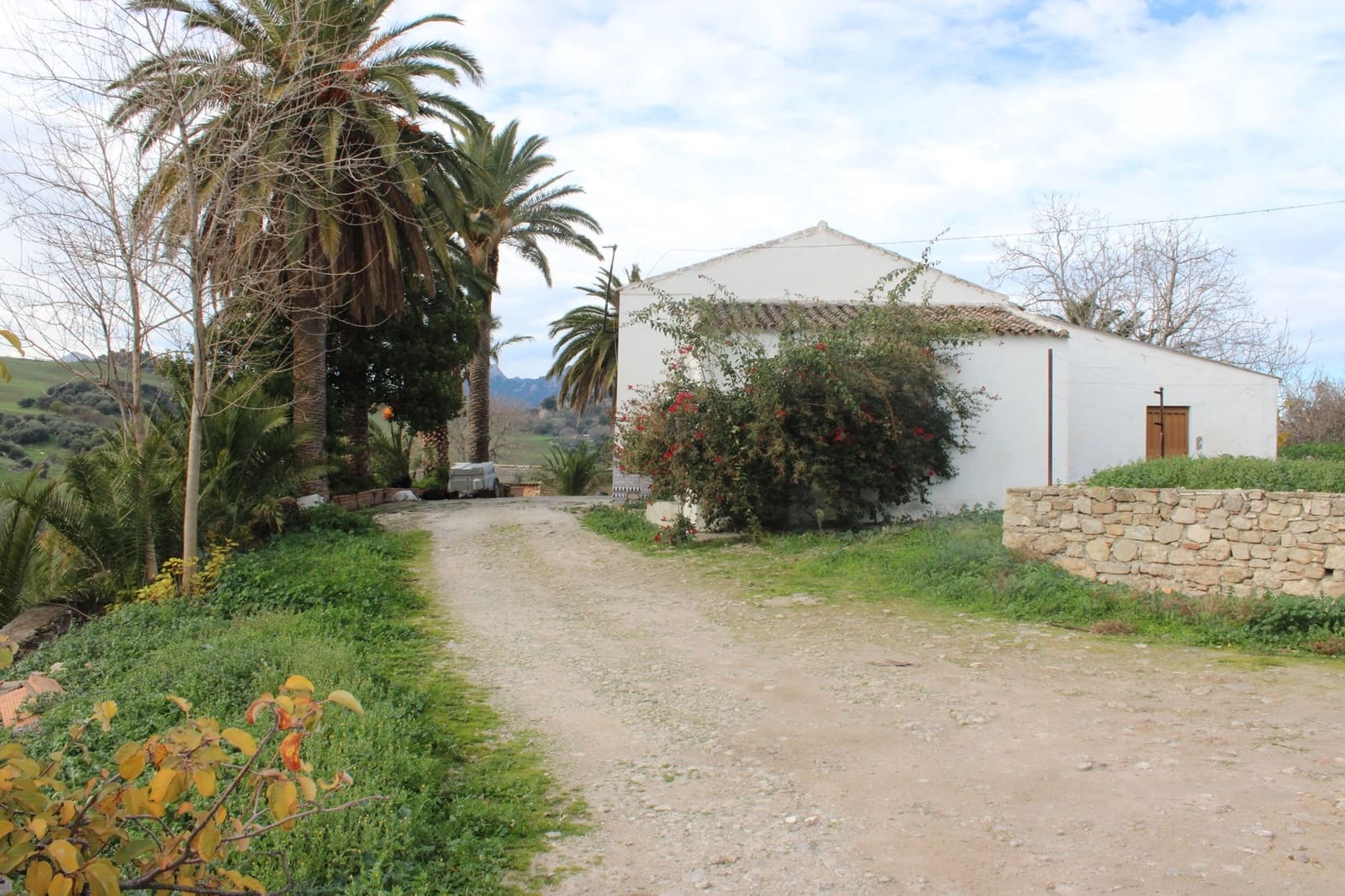 4 sypialnia Finka/Dom wiejski na sprzedaż w Montecorto - 530 000 € (Ref: 8912296)