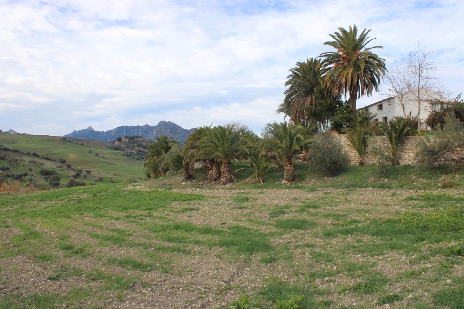 4 sypialnia Finka/Dom wiejski na sprzedaż w Montecorto - 530 000 € (Ref: 8912296)