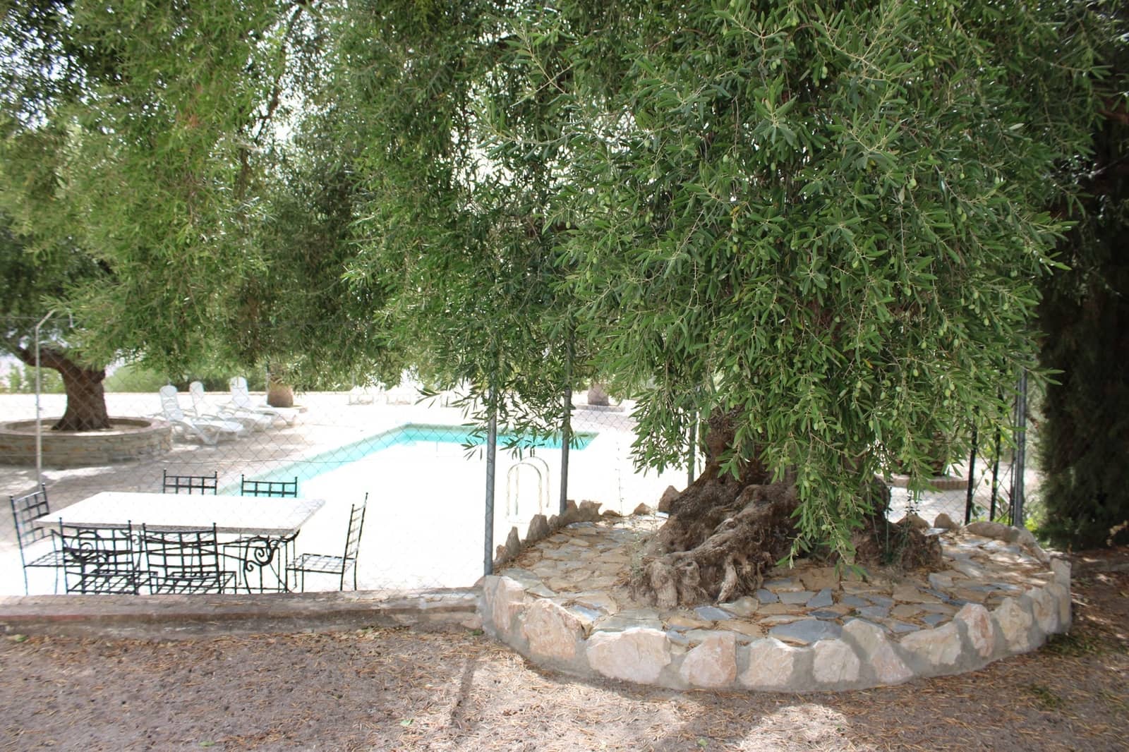 4 slaapkamer Finca/Landhuis te koop in Zahara de la Sierra met zwembad - € 530.000 (Ref: 8912300)