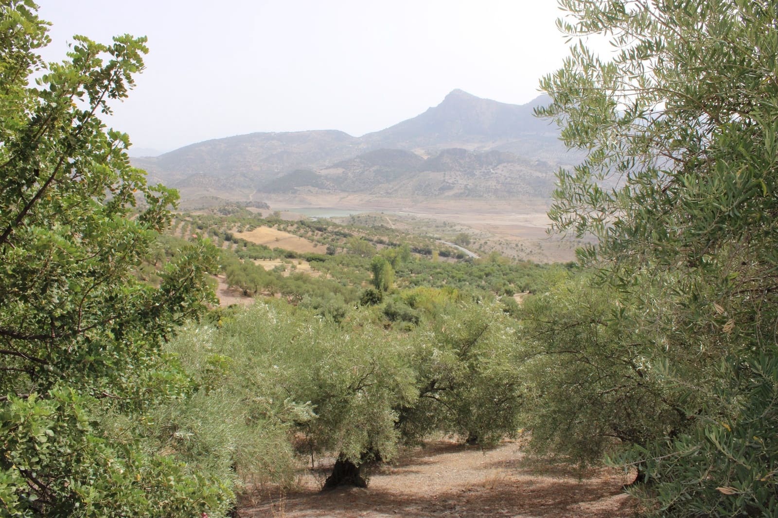 4 slaapkamer Finca/Landhuis te koop in Zahara de la Sierra met zwembad - € 530.000 (Ref: 8912300)