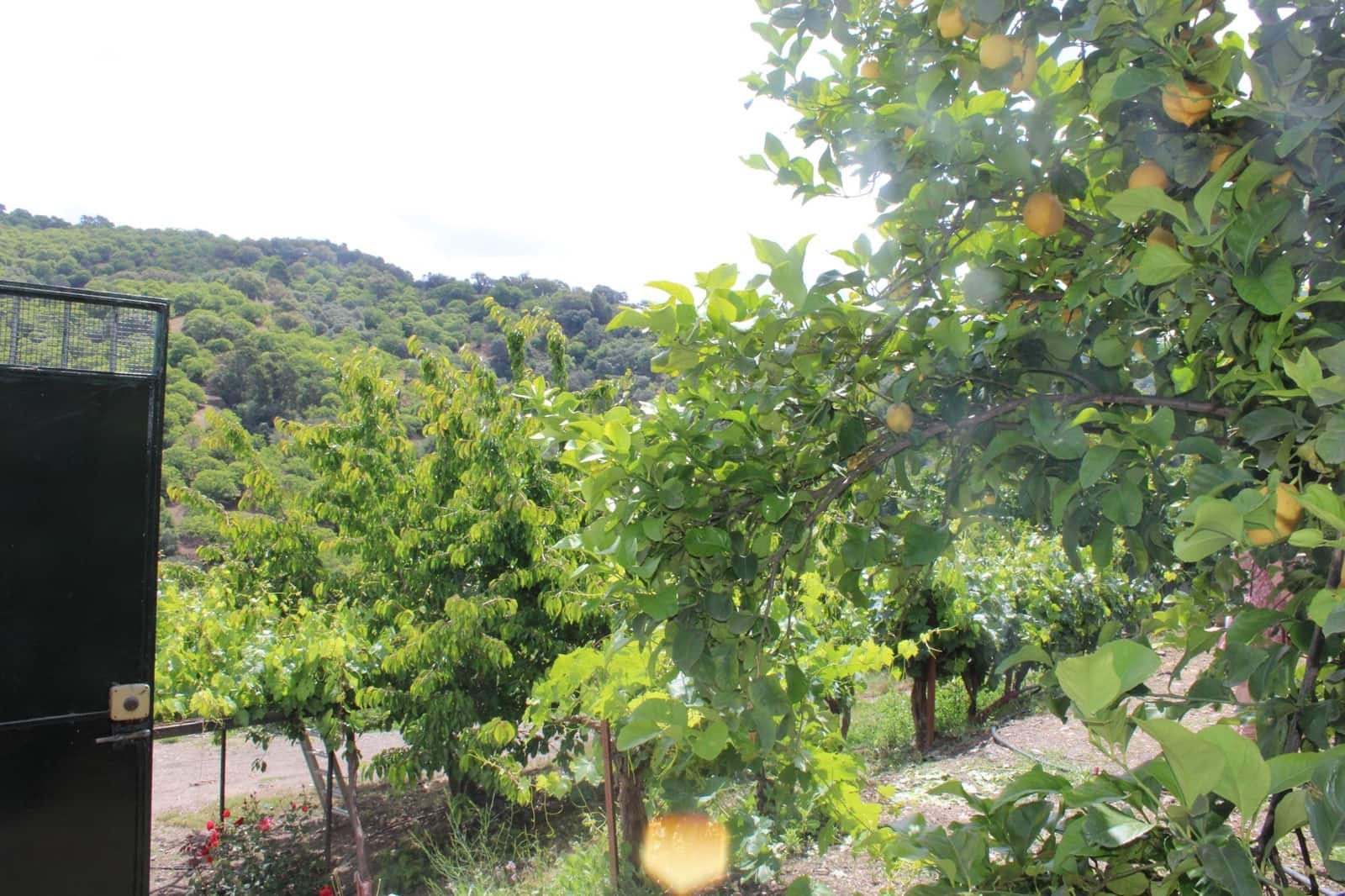 3 sypialnia Finka/Dom wiejski na sprzedaż w Cartajima - 630 000 € (Ref: 8912303)