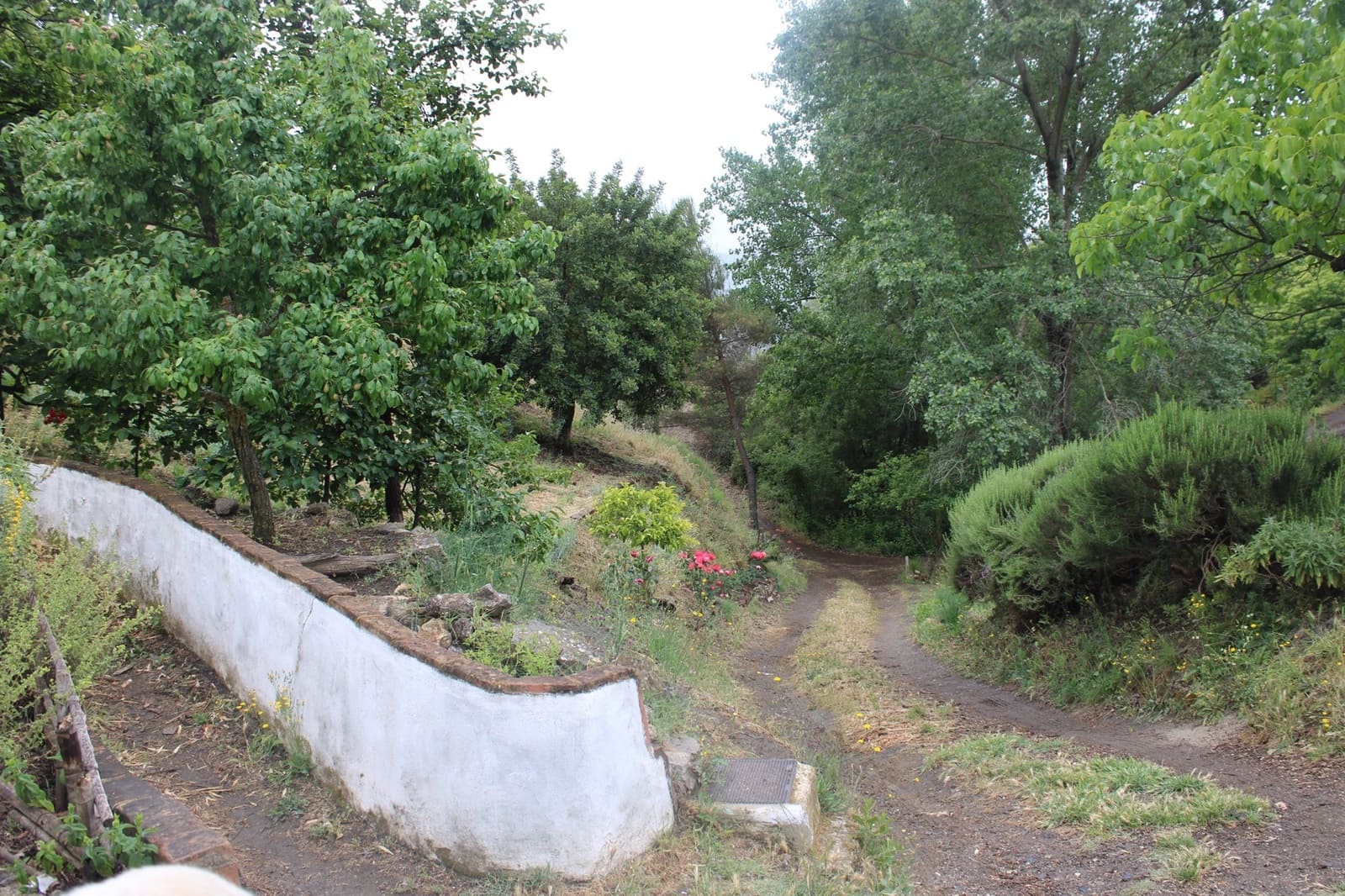 3 sypialnia Finka/Dom wiejski na sprzedaż w Cartajima - 630 000 € (Ref: 8912303)