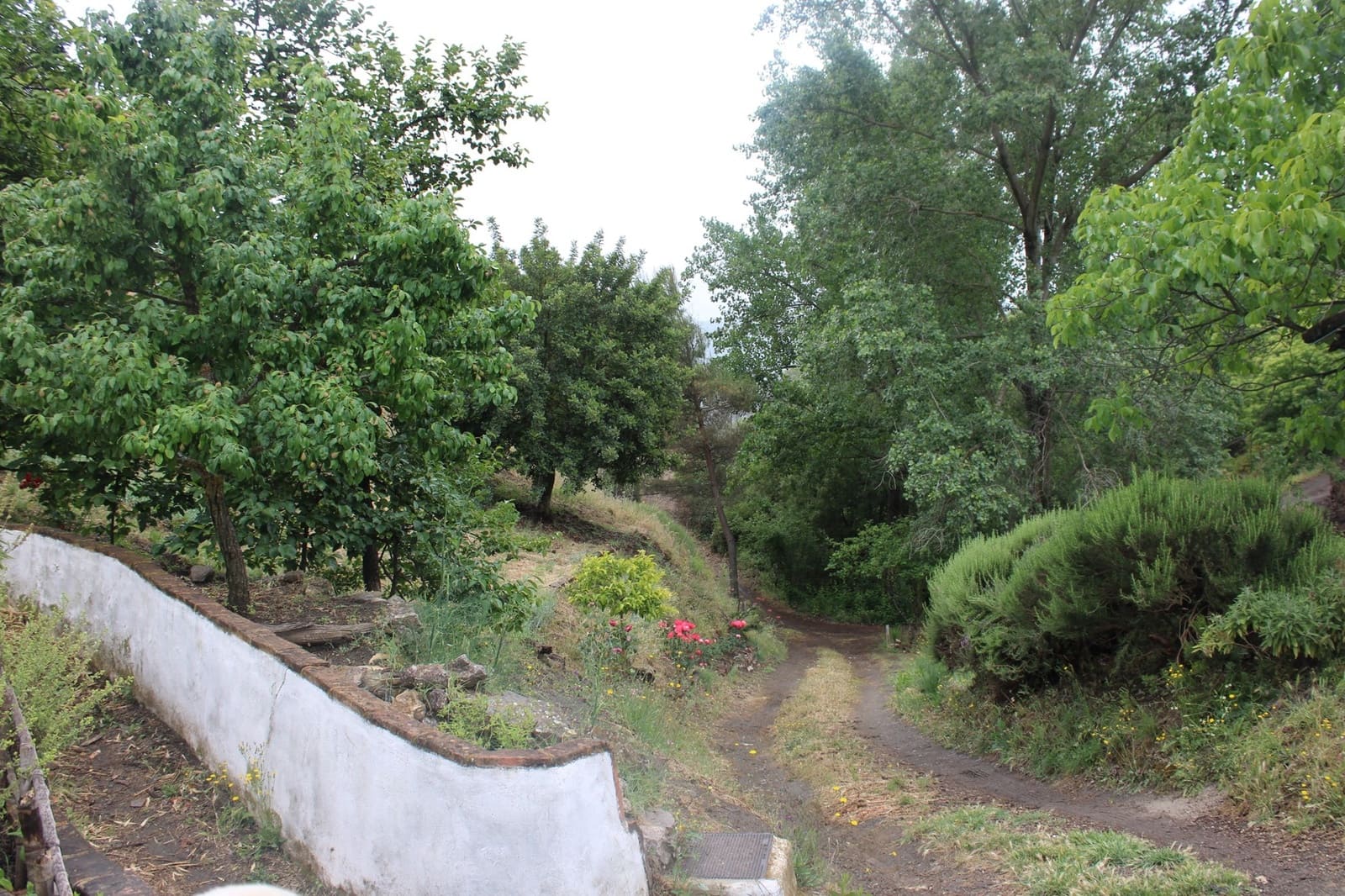 3 sypialnia Finka/Dom wiejski na sprzedaż w Cartajima - 630 000 € (Ref: 8912303)