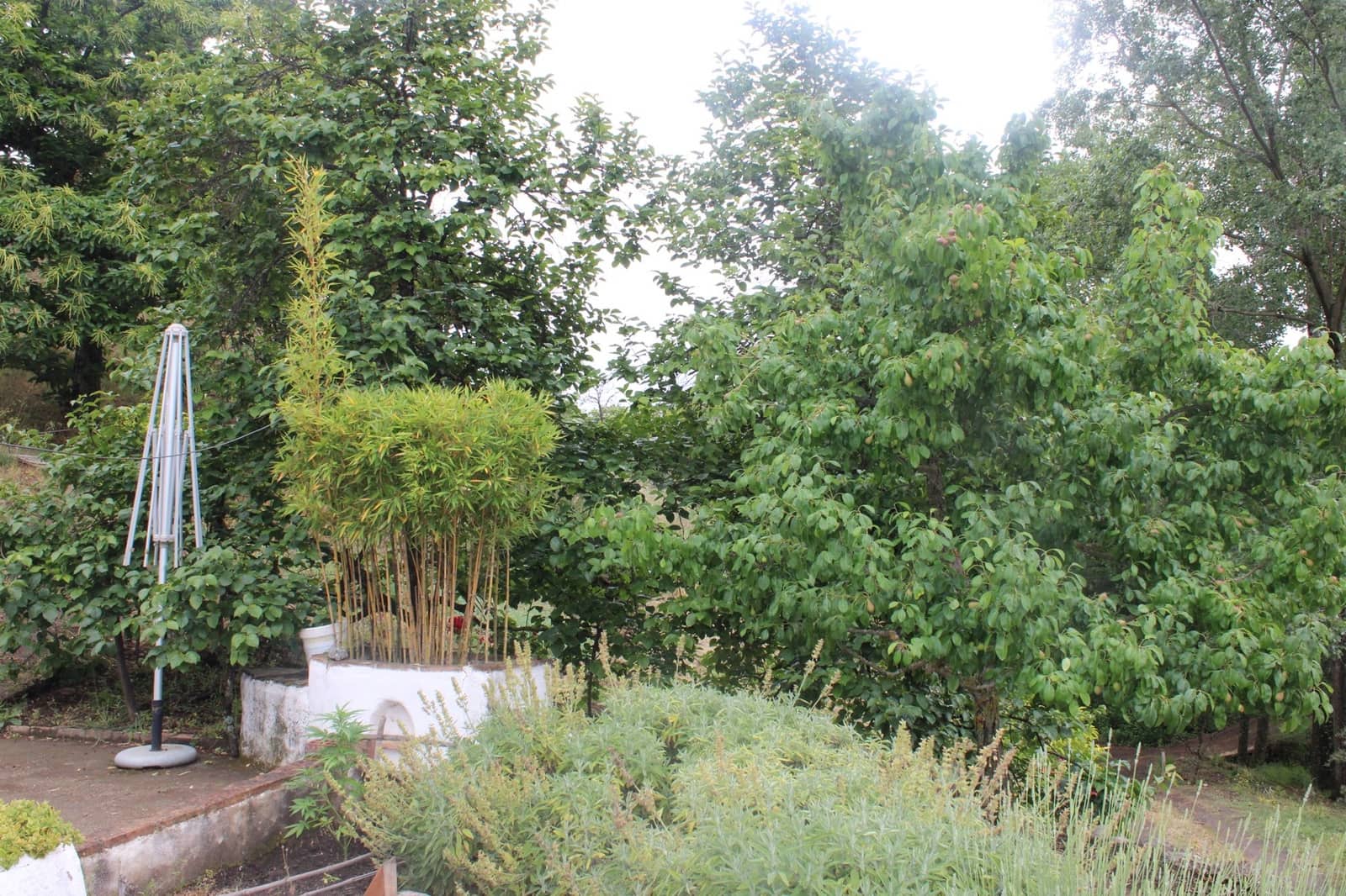 3 sypialnia Finka/Dom wiejski na sprzedaż w Cartajima - 630 000 € (Ref: 8912303)