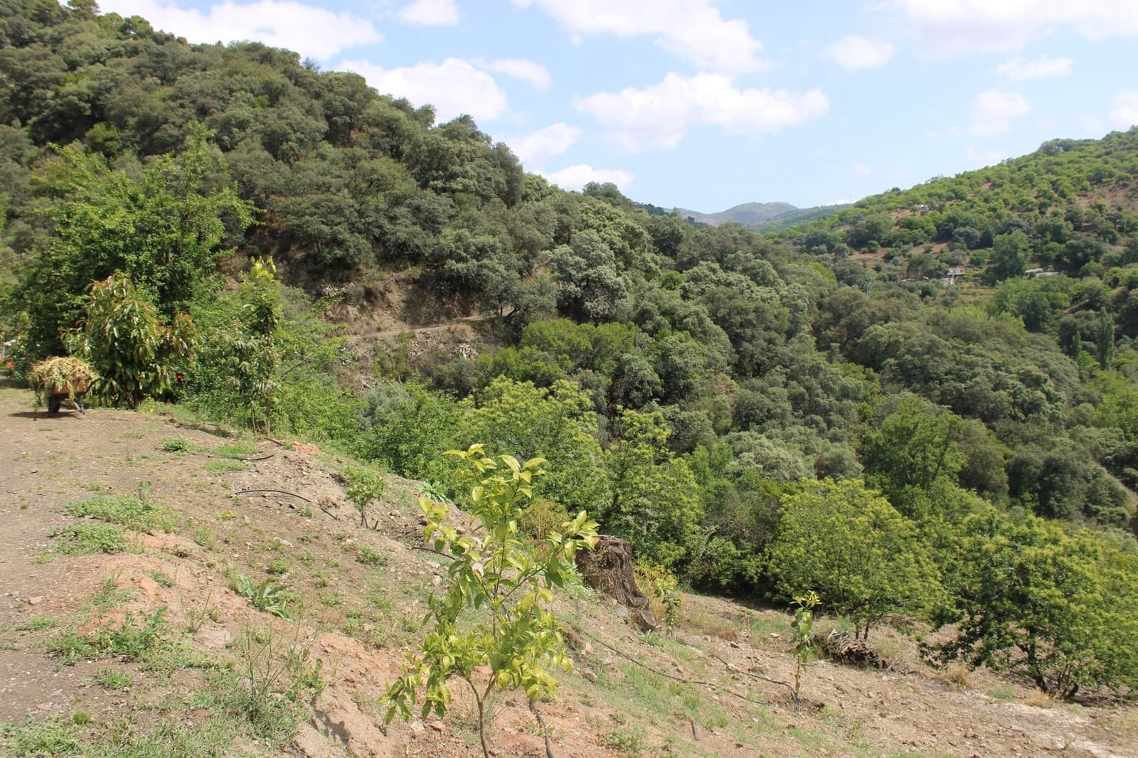 3 sypialnia Finka/Dom wiejski na sprzedaż w Cartajima - 630 000 € (Ref: 8912303)