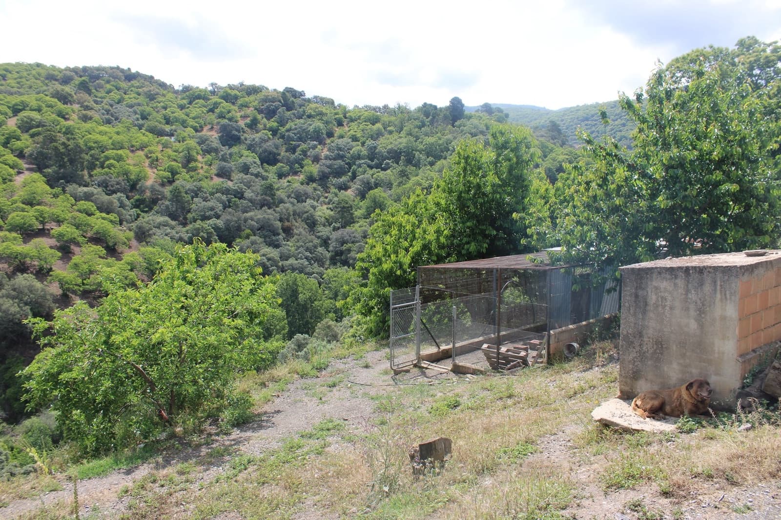 3 sypialnia Finka/Dom wiejski na sprzedaż w Cartajima - 630 000 € (Ref: 8912303)