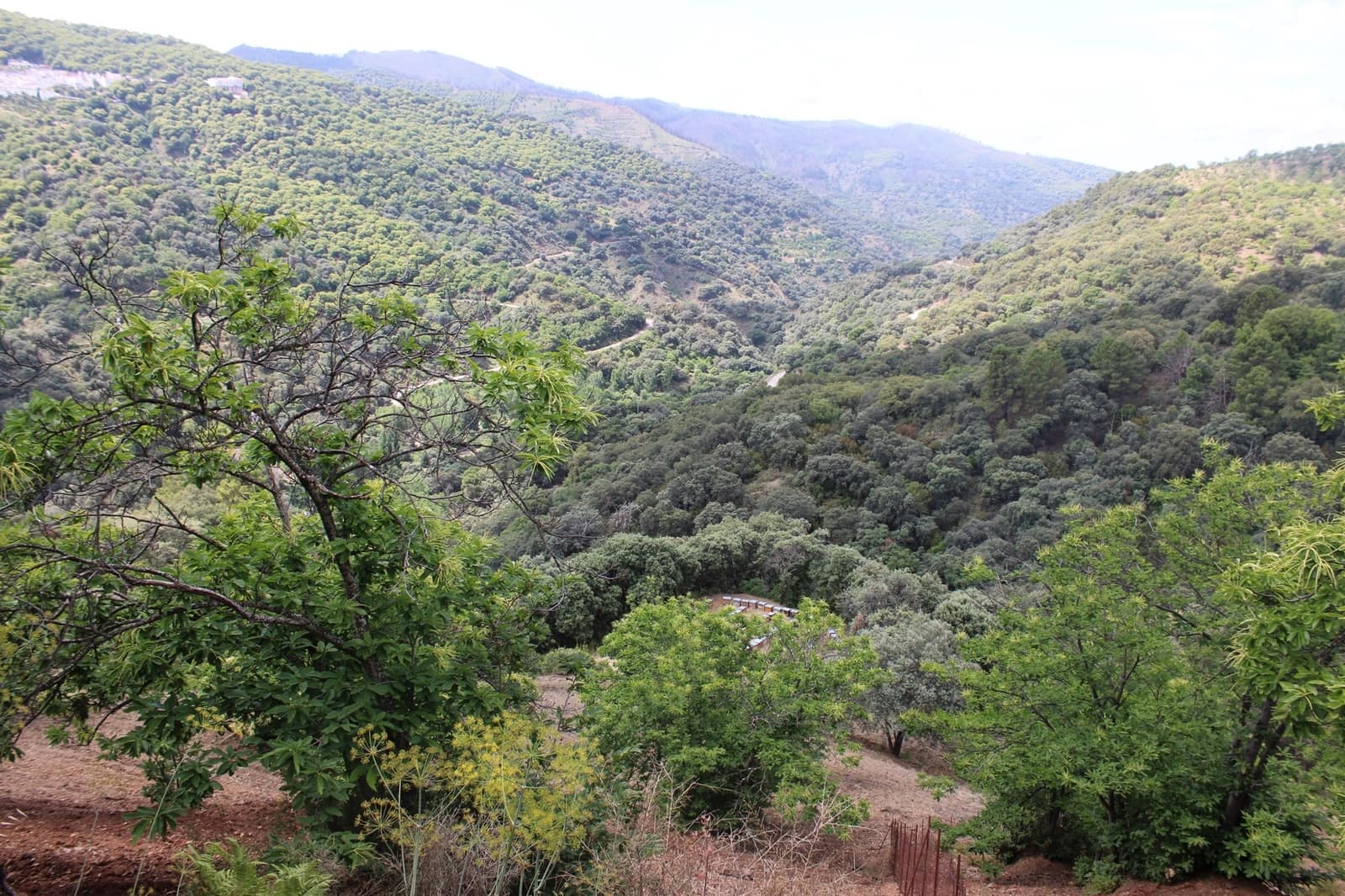 3 sypialnia Finka/Dom wiejski na sprzedaż w Cartajima - 630 000 € (Ref: 8912303)