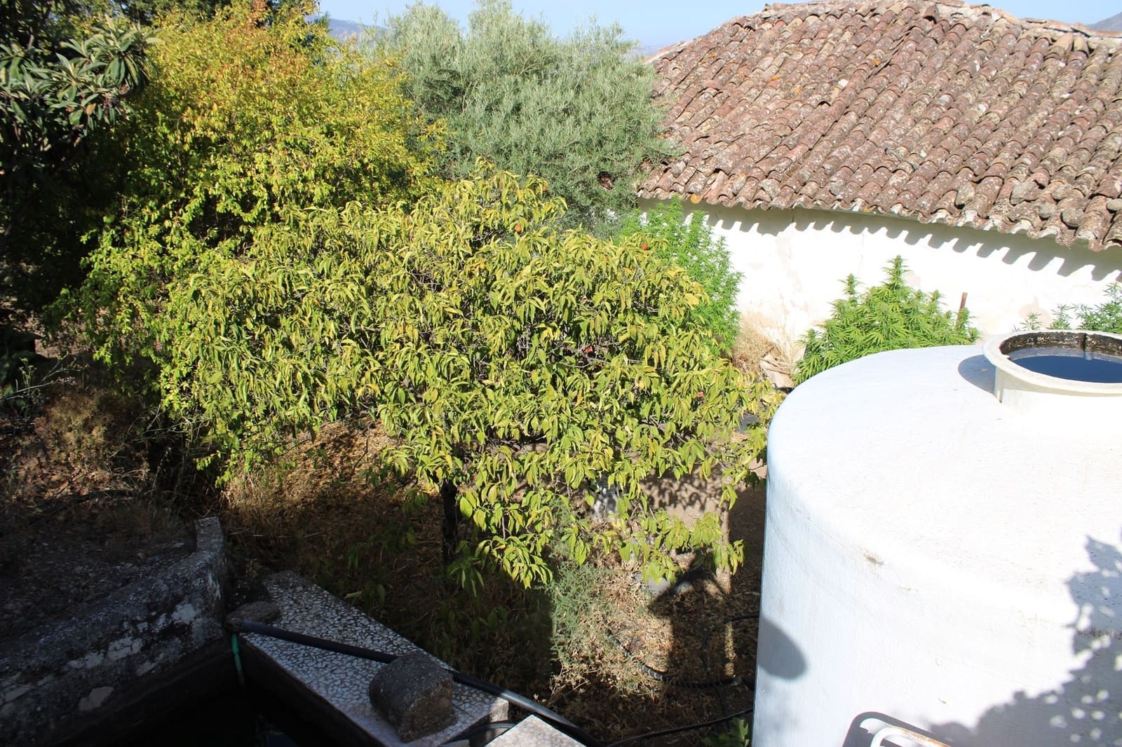 3 soverom Finca/Herregård til salgs i El Gastor - € 650 000 (Ref: 8912304)