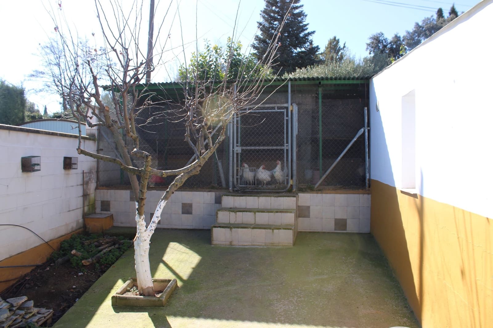 7 sypialnia Finka/Dom wiejski na sprzedaż w Ronda z basenem - 674 000 € (Ref: 8912306)