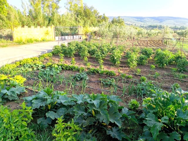 5 sypialnia Finka/Dom wiejski na sprzedaż w Setenil de las Bodegas z basenem - 650 000 € (Ref: 8912307)