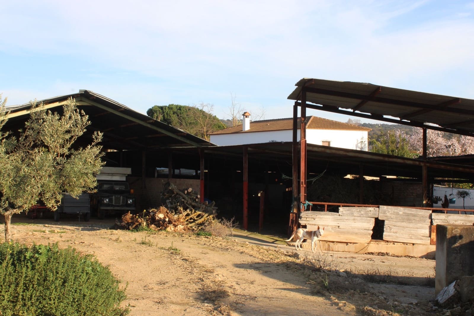 5 sypialnia Finka/Dom wiejski na sprzedaż w Setenil de las Bodegas z basenem - 650 000 € (Ref: 8912307)