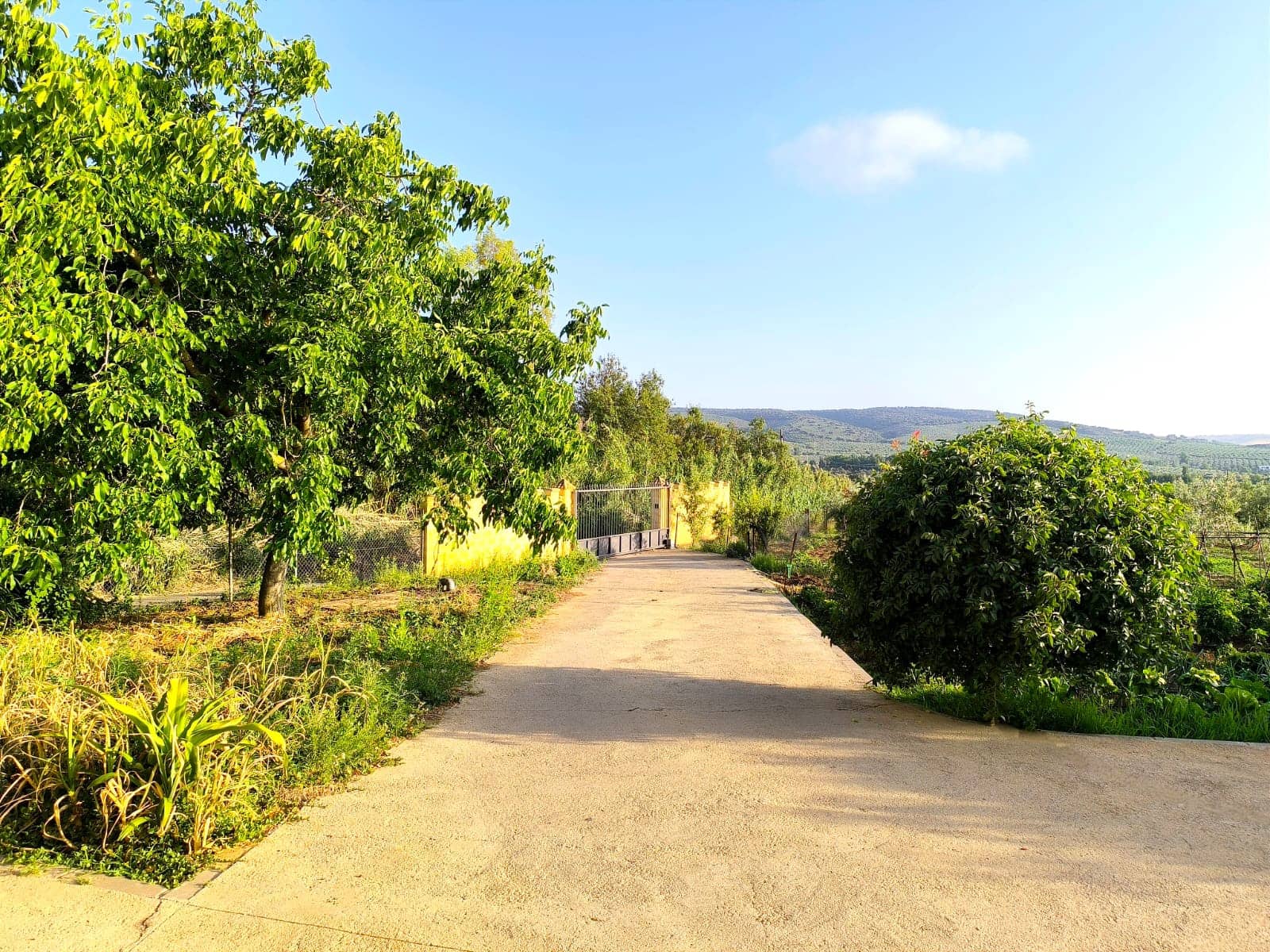 5 sypialnia Finka/Dom wiejski na sprzedaż w Setenil de las Bodegas z basenem - 650 000 € (Ref: 8912307)