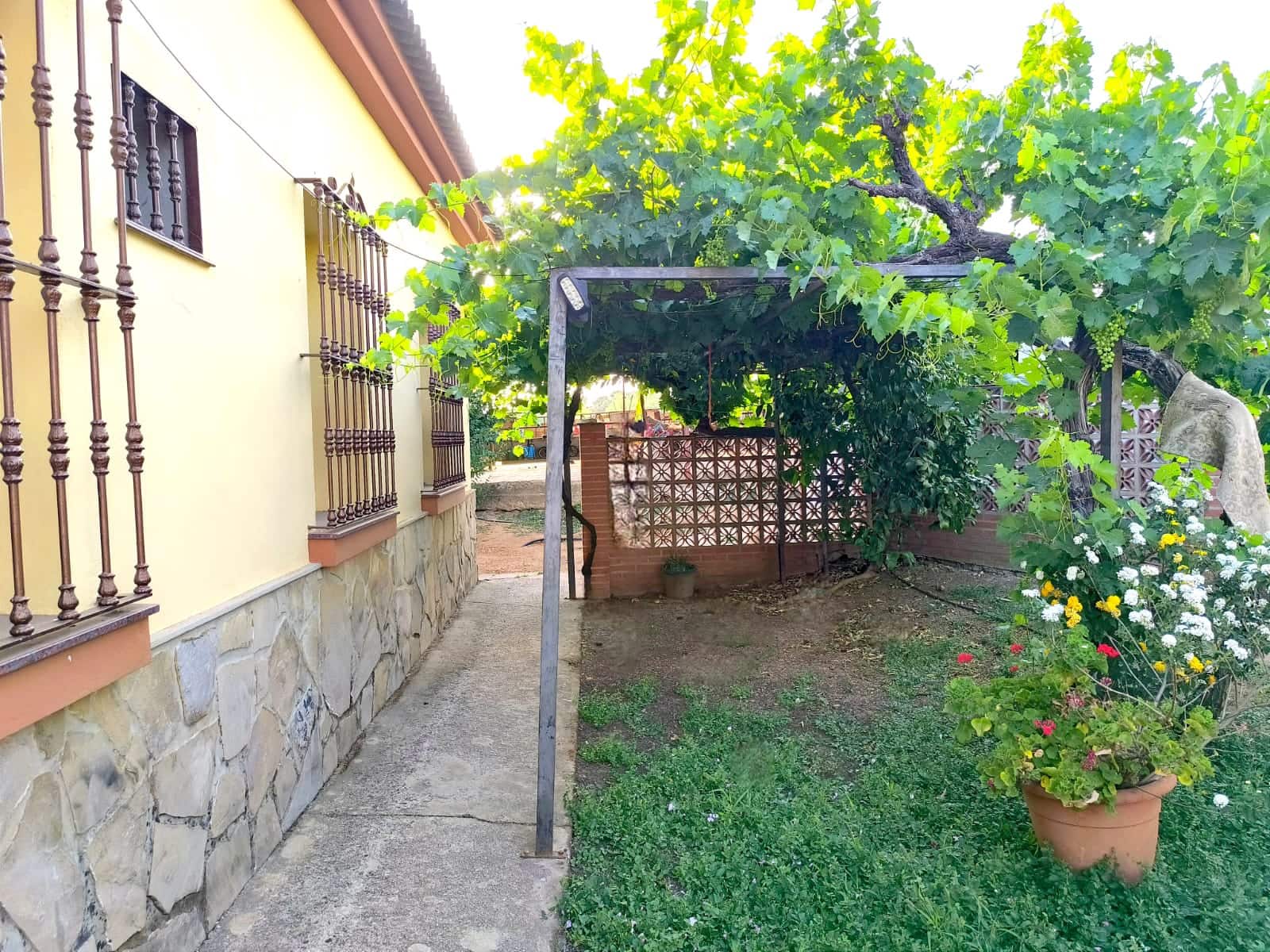 5 sypialnia Finka/Dom wiejski na sprzedaż w Setenil de las Bodegas z basenem - 650 000 € (Ref: 8912307)