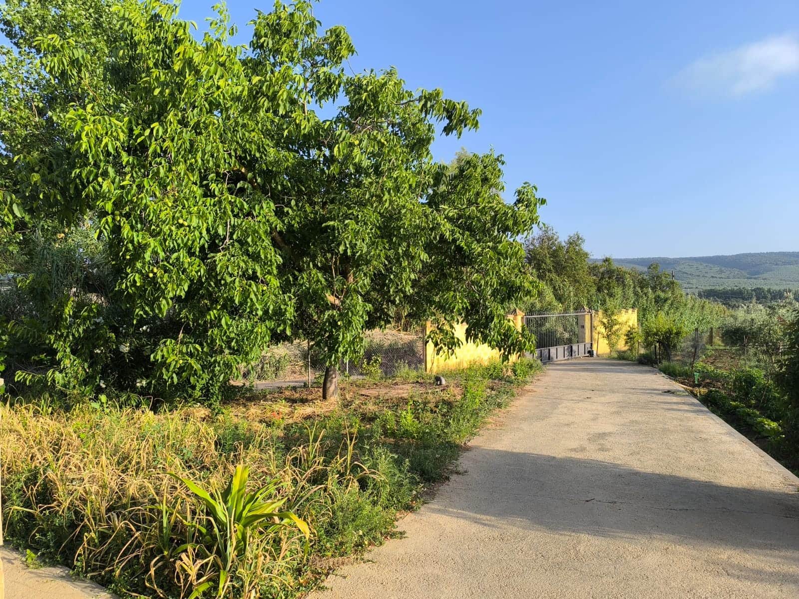 5 sypialnia Finka/Dom wiejski na sprzedaż w Setenil de las Bodegas z basenem - 650 000 € (Ref: 8912307)