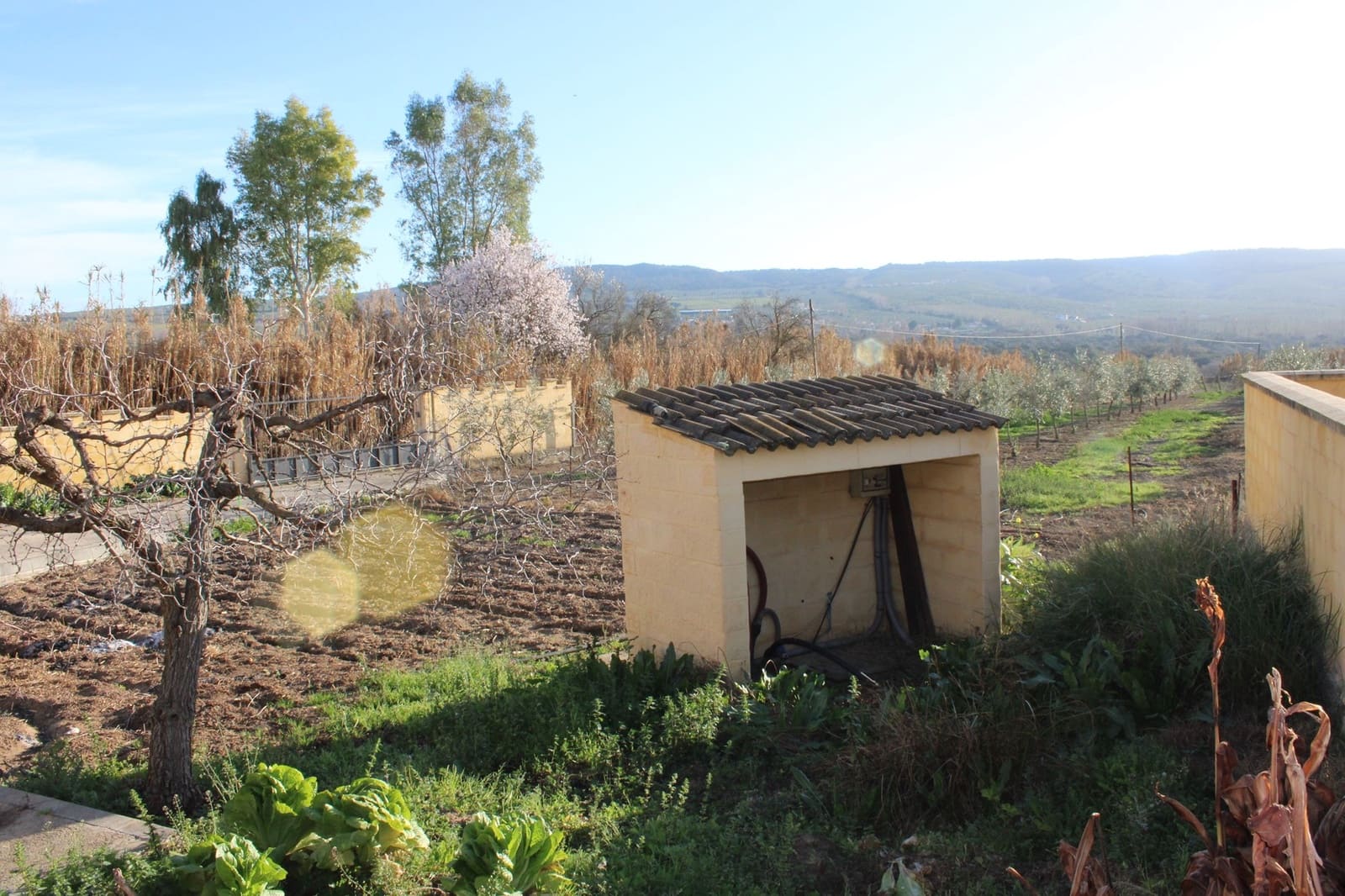 5 sypialnia Finka/Dom wiejski na sprzedaż w Setenil de las Bodegas z basenem - 650 000 € (Ref: 8912307)