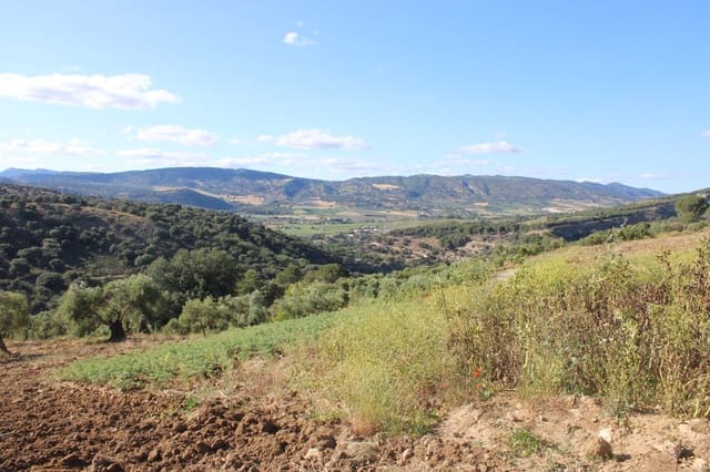 3 soveværelse Finca/Landehus til salg i Ronda med swimmingpool - € 750.000 (Ref: 8912310)