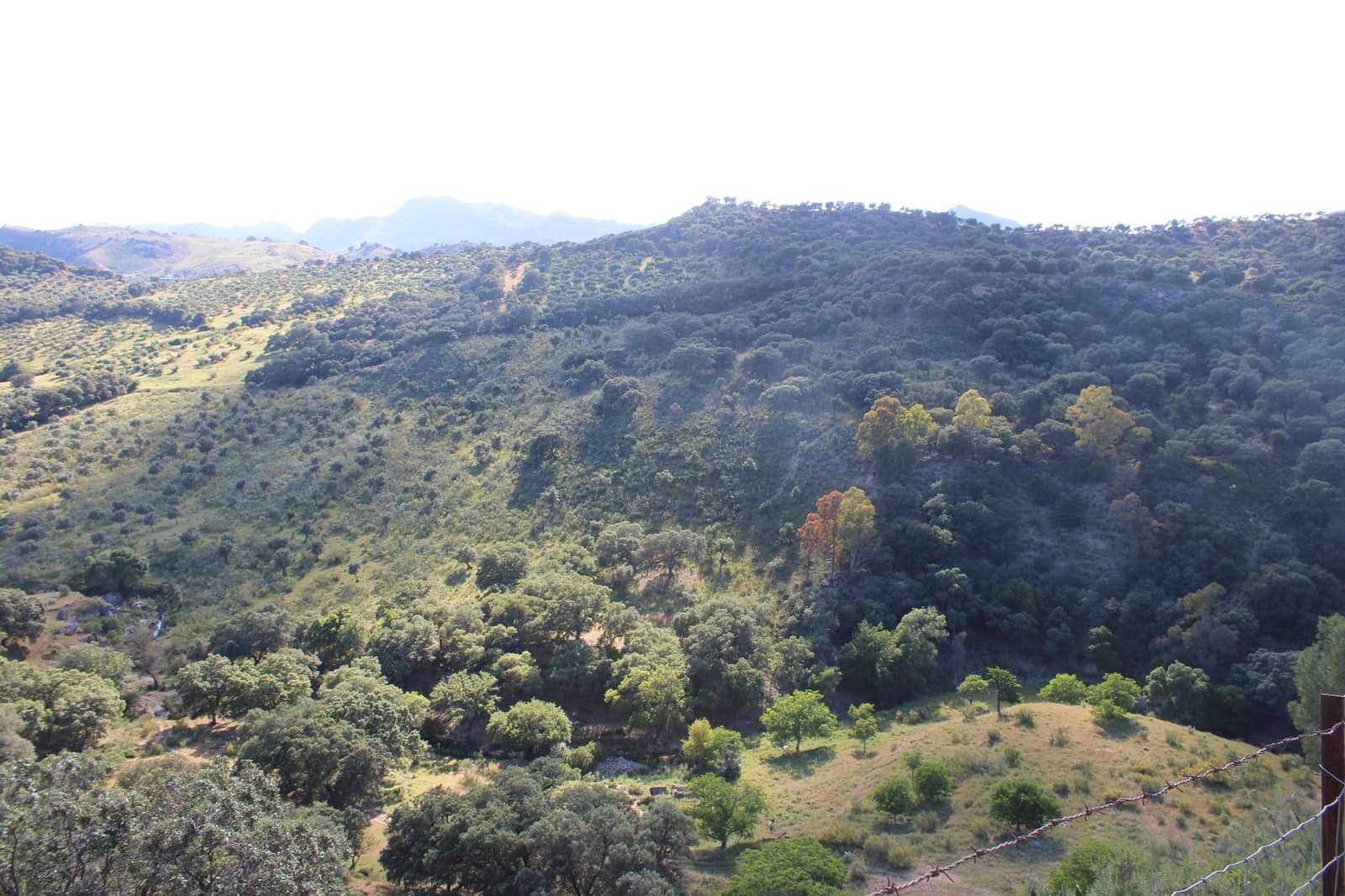 3 Zimmer Finca/Landgut zu verkaufen in Ronda mit Pool - 750.000 € (Ref: 8912310)