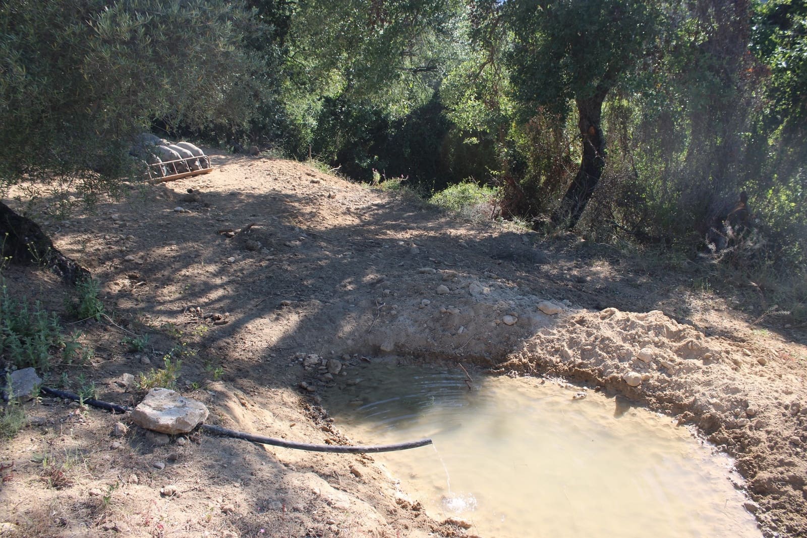 3 Zimmer Finca/Landgut zu verkaufen in Ronda mit Pool - 750.000 € (Ref: 8912310)