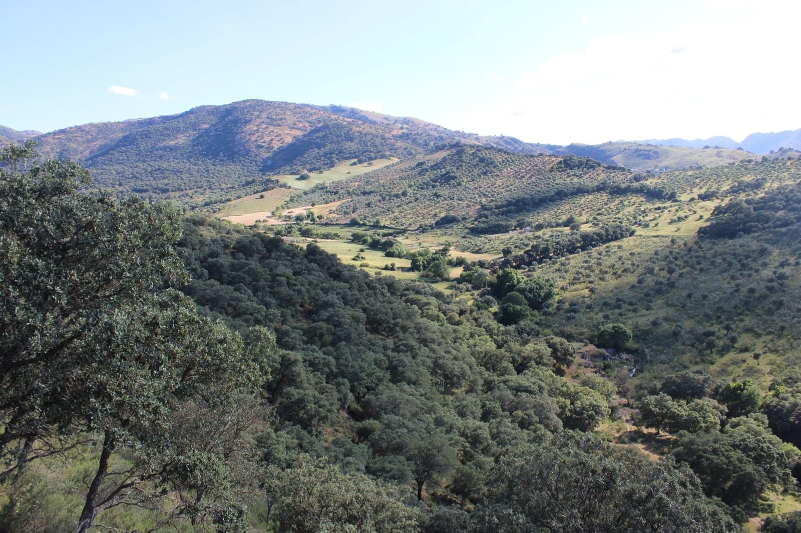 3 Zimmer Finca/Landgut zu verkaufen in Ronda mit Pool - 750.000 € (Ref: 8912310)