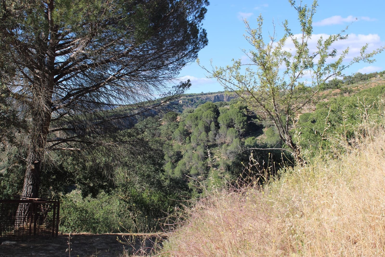 3 Zimmer Finca/Landgut zu verkaufen in Ronda mit Pool - 750.000 € (Ref: 8912310)